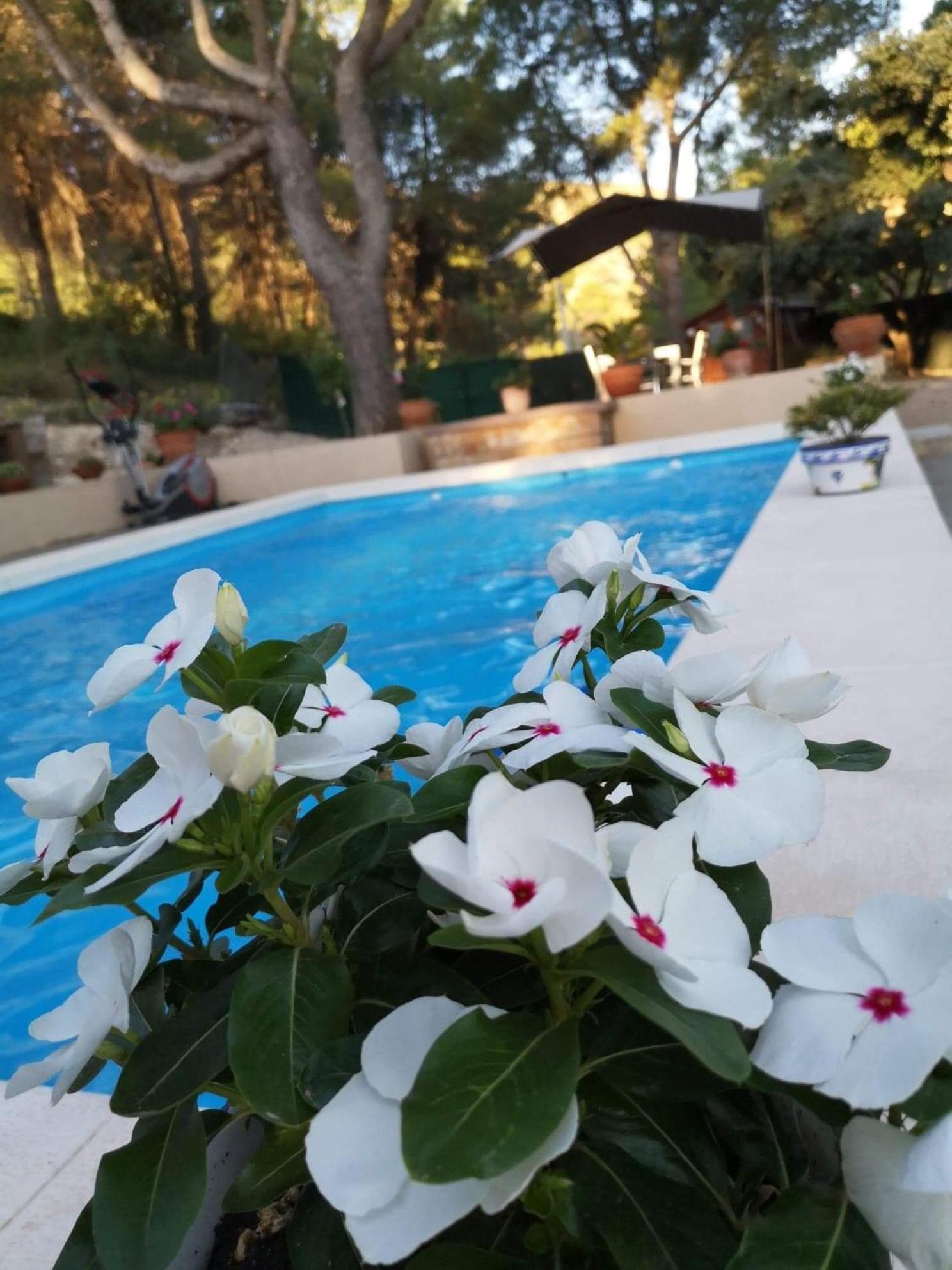 Bed and Breakfast Casa Jetizo Ontinyent  Exterior foto