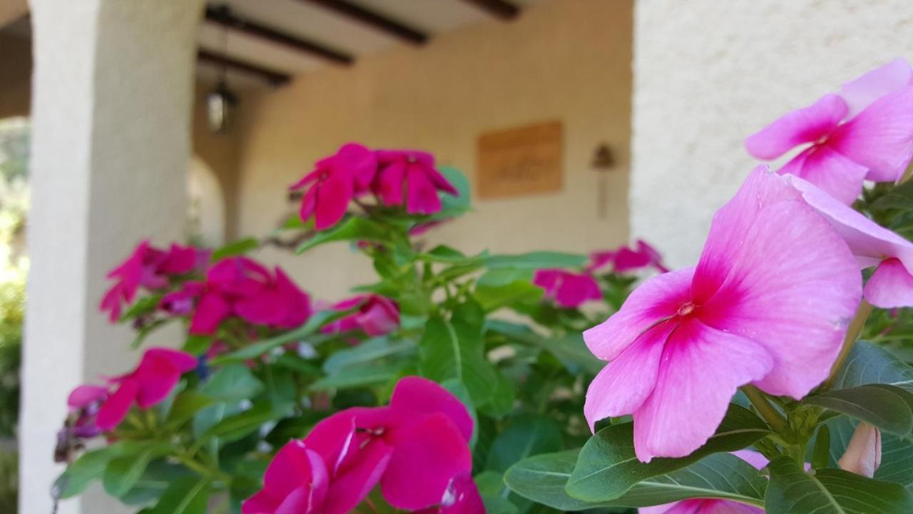 Bed and Breakfast Casa Jetizo Ontinyent  Exterior foto