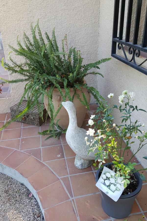Bed and Breakfast Casa Jetizo Ontinyent  Exterior foto